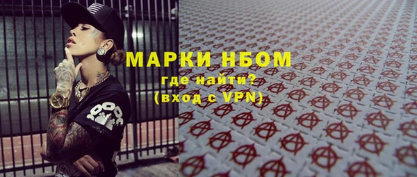 ECSTASY Белокуриха