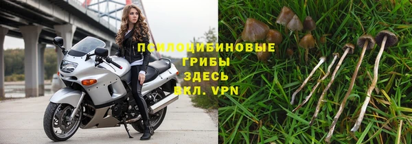 а пвп мука Богородск