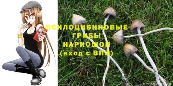 дурь Беломорск