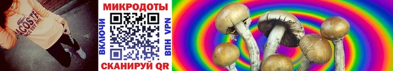 Псилоцибиновые грибы MAGIC MUSHROOMS  купить наркотик  Светогорск 